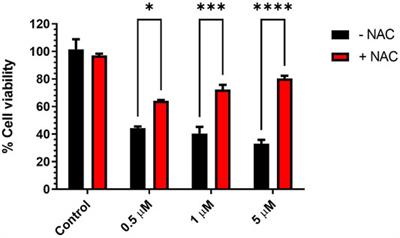 Insights on Cancer Cell Inhibition, Subcellular Activities, and Kinase Profile of Phenylacetamides Pending 1H-Imidazol-5-One Variants